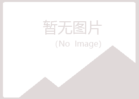 菏泽冰夏金属有限公司